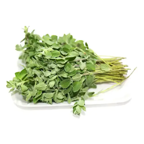 Fresh Oregano Leaves 50g Kenya